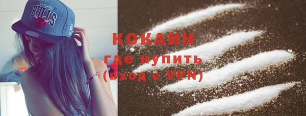 сатива Гусиноозёрск