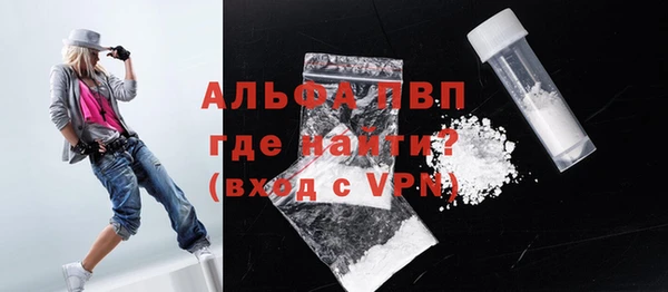 сатива Гусиноозёрск