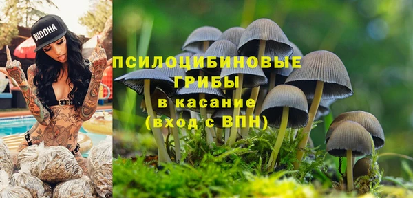 таблы Гусев