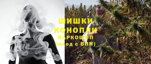 сатива Гусиноозёрск