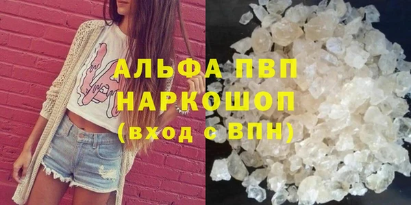 сатива Гусиноозёрск