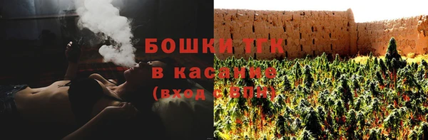 таблы Гусев
