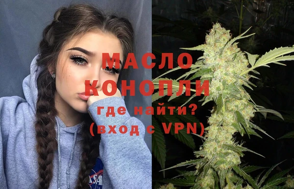таблы Гусев