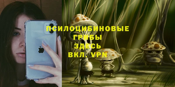 сатива Гусиноозёрск