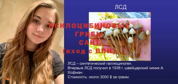 сатива Гусиноозёрск