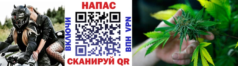 mega вход  Калининград  Шишки марихуана THC 21% 